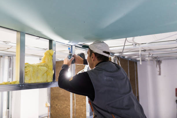 Best Blown-in Insulation in Wedgefield, FL