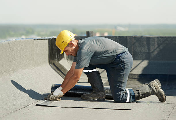 Best DIY Insulation Kits and Guidance in Wedgefield, FL