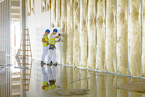 Best Fiberglass Insulation in Wedgefield, FL